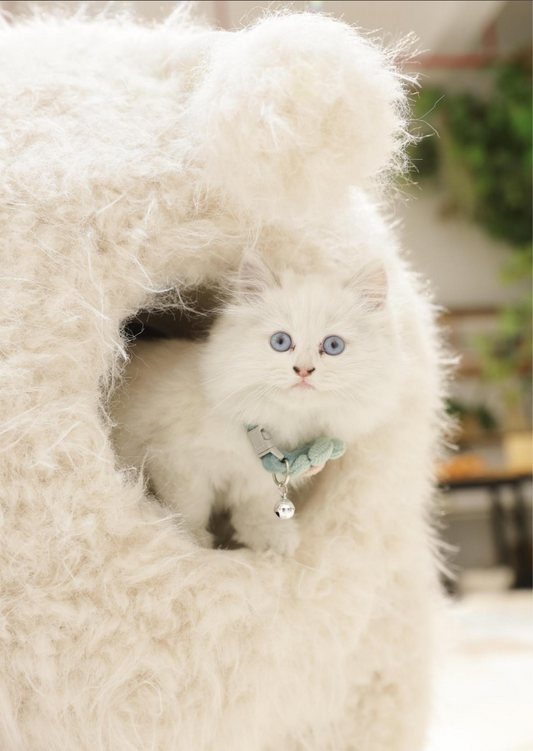 2Meters Luxury Alpaca-Fabric Cat Kennels & Cat Trees – Premium Pet Furniture