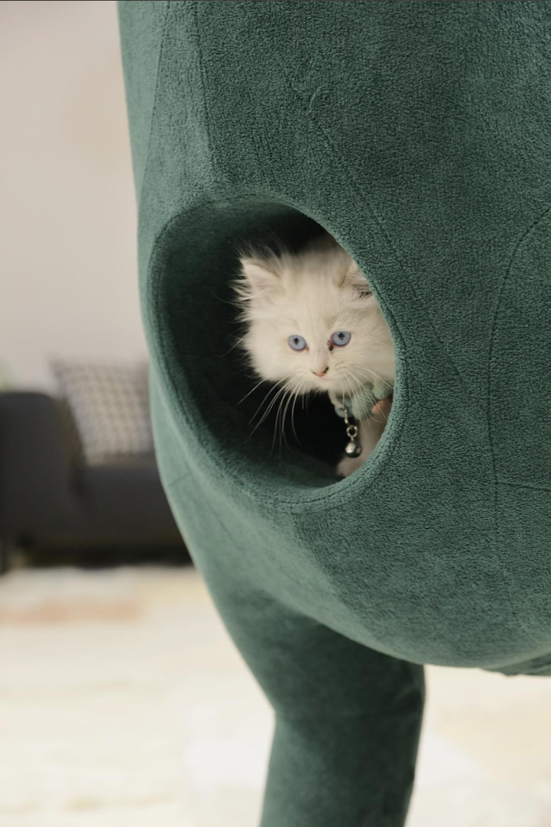 Upgraded version with cat kennel, 2 meter giant brachiosaurus pet friendly furniture