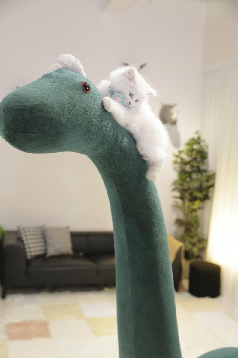 Upgraded version with cat kennel, 2 meter giant brachiosaurus pet friendly furniture