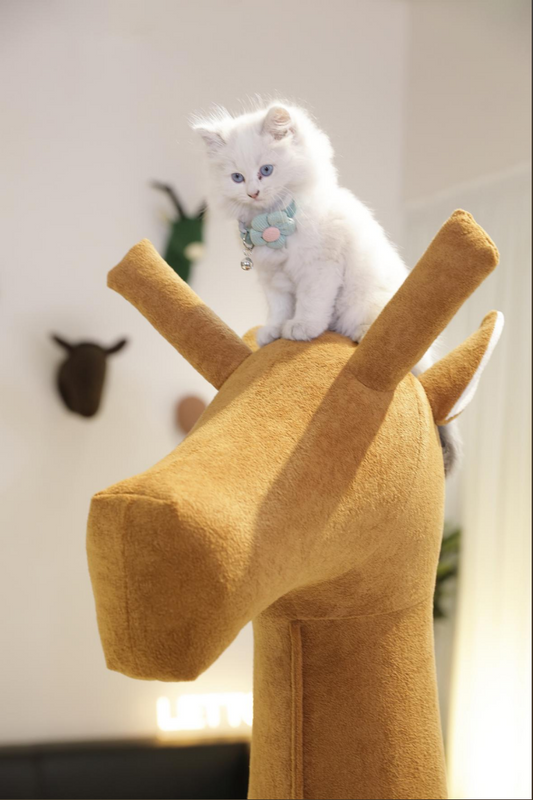 2Meter Giant Giraffe Get Griendly Furniture
