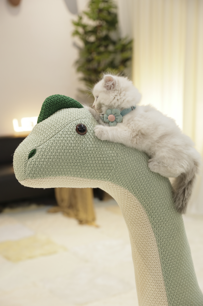 1.1M Brachiosaurus pet friendly furniture