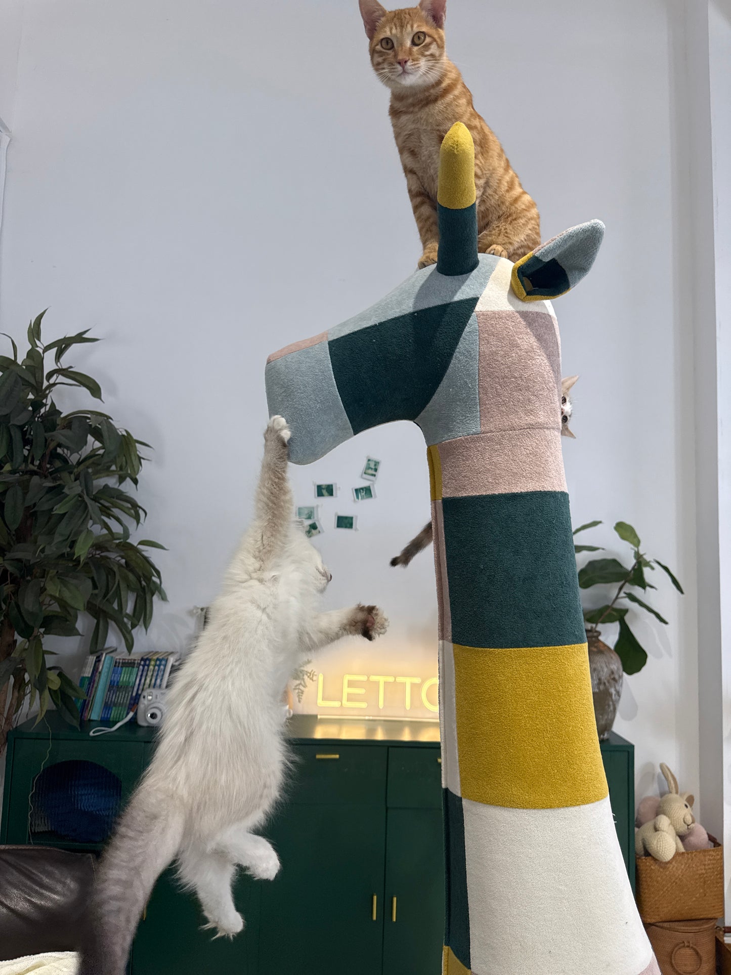 2Meters Giant Giraffe Cat Tree - Luxury Pet Nest & Climbing Tower