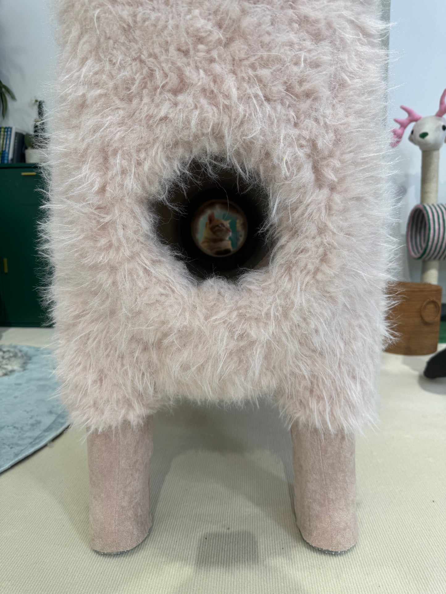 2Meters Luxury Alpaca-Fabric Cat Tunnels & Cat Trees – Premium Pet Furniture