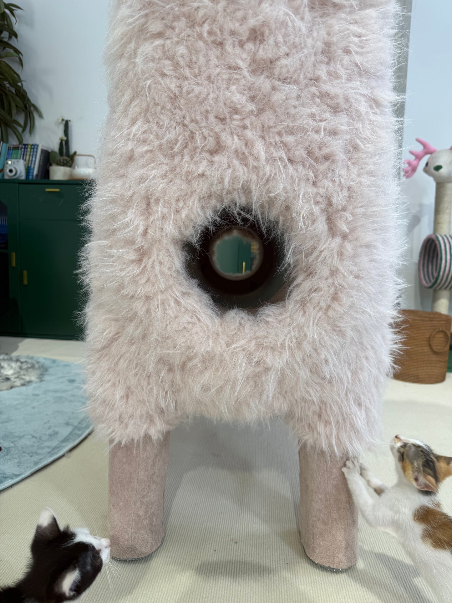 2Meters Luxury Alpaca-Fabric Cat Tunnels & Cat Trees – Premium Pet Furniture