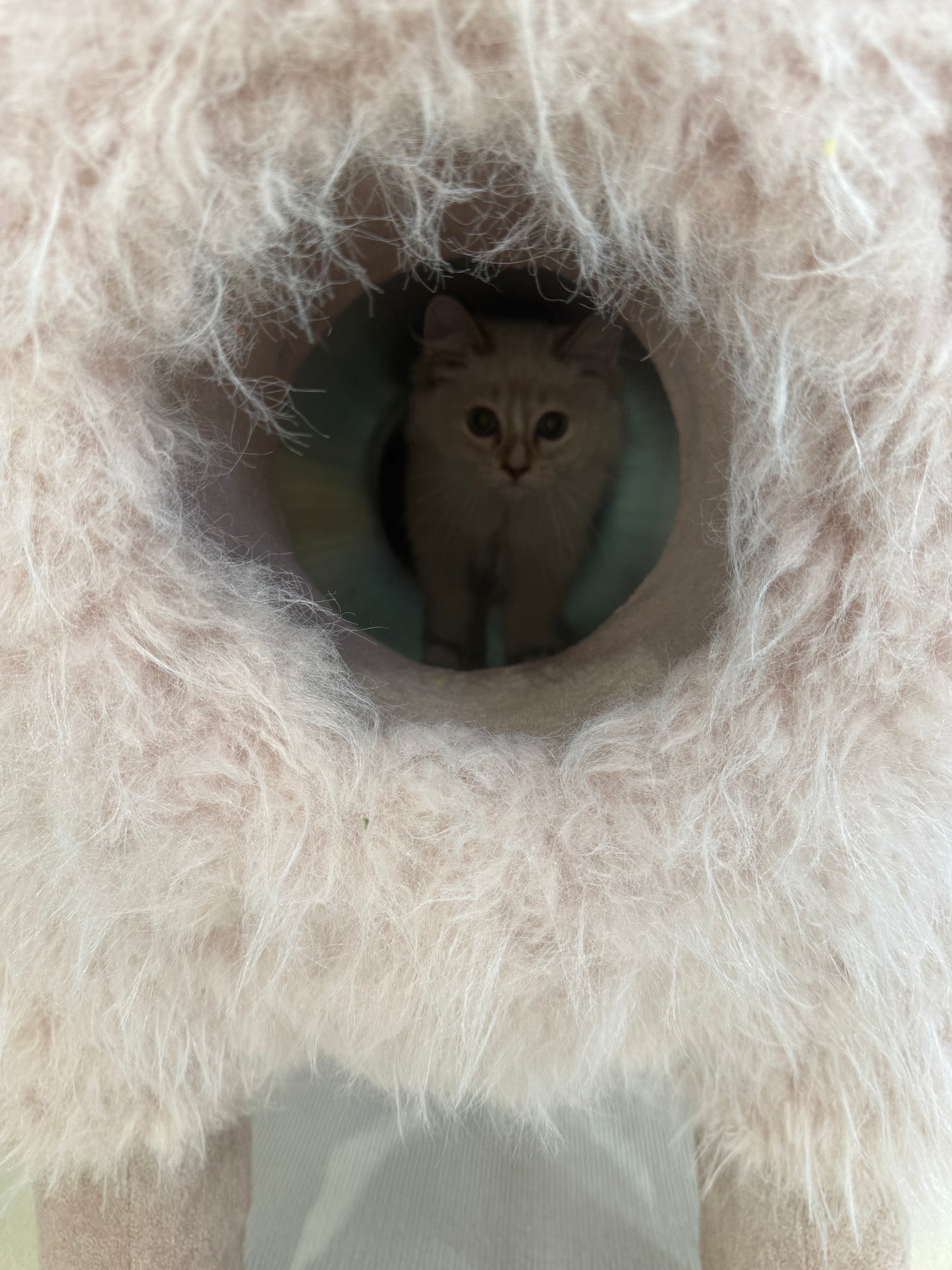 2Meters Luxury Alpaca-Fabric Cat Tunnels & Cat Trees – Premium Pet Furniture