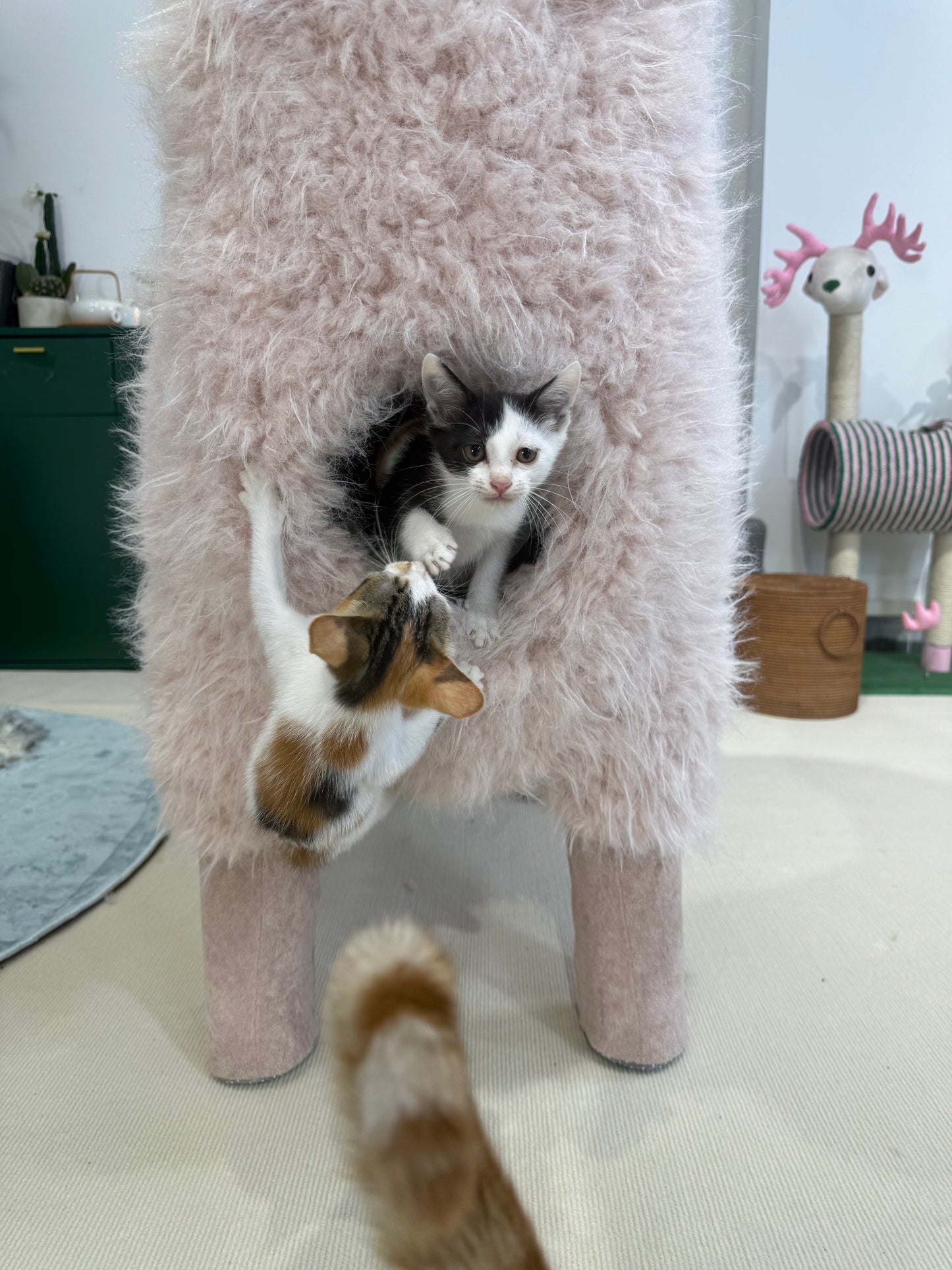 2Meters Luxury Alpaca-Fabric Cat Tunnels & Cat Trees – Premium Pet Furniture
