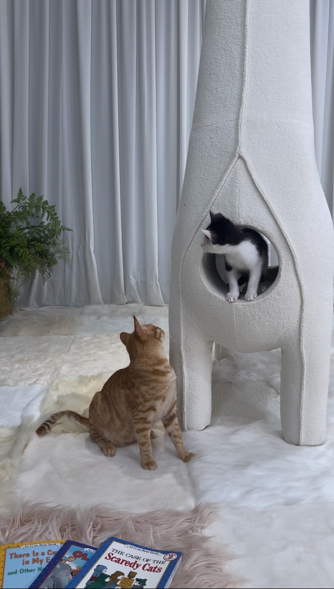2 Meters Tall Luxury Giraffe - themed Cat Tunnels & Cat Trees – Premium Pet Furniture
