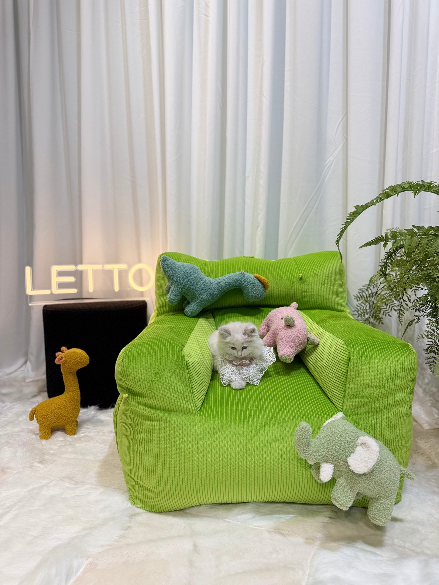 Viral Dopamine Pet Sofa – Trendy, Supportive & Instagram-Worthy