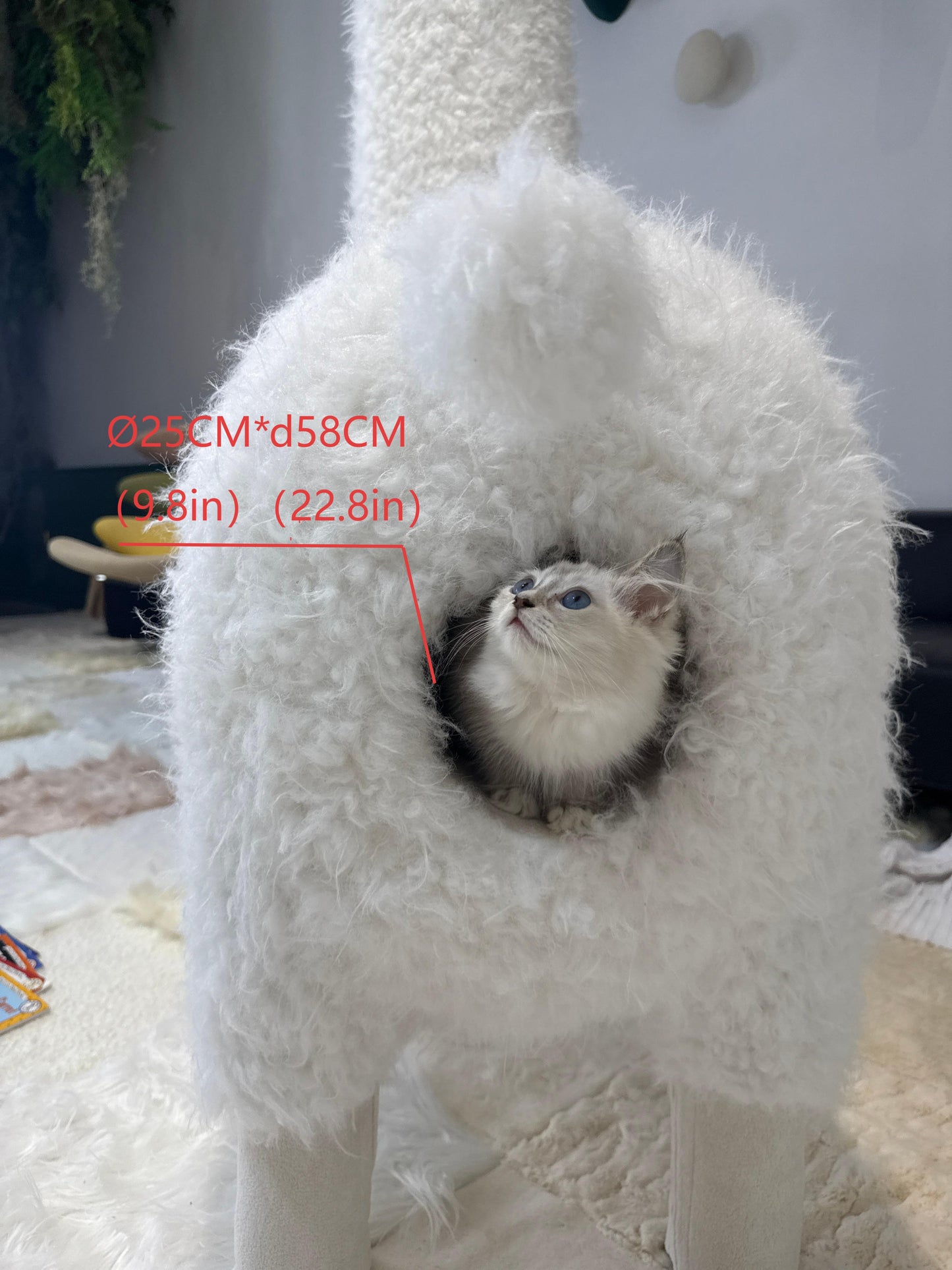 2Meters Luxury Alpaca-Fabric Cat Kennels & Cat Trees – Premium Pet Furniture