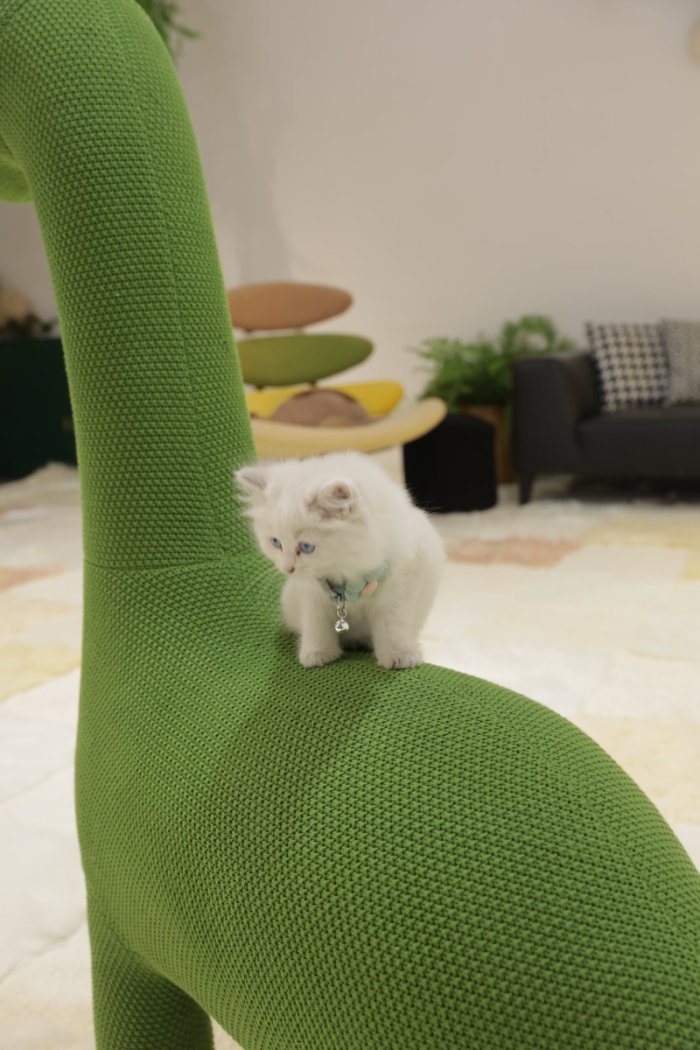 1.2 Meter Dinosaur Pet Friendly Furniture