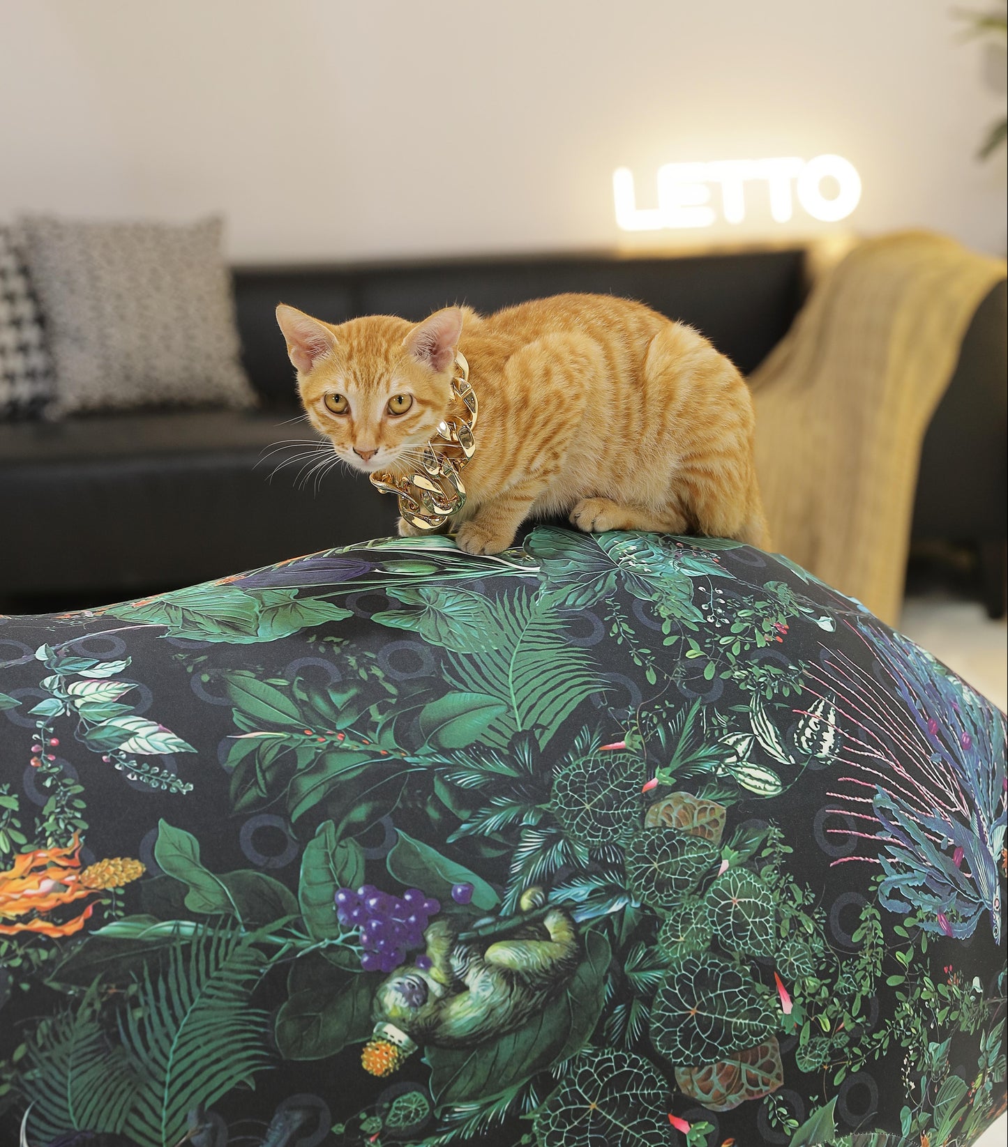 2 Meters Giant Dinosaur Pet Friendly Furniture