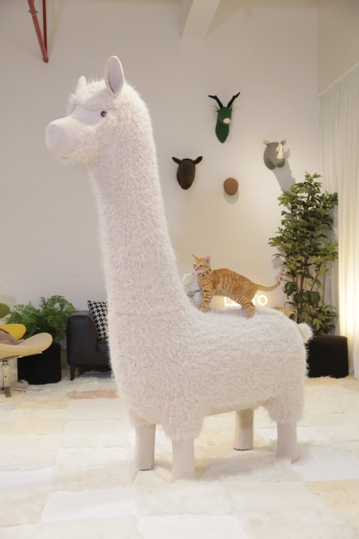 2Meters Luxury Alpaca-Fabric Cat Kennels & Cat Trees – Premium Pet Furniture