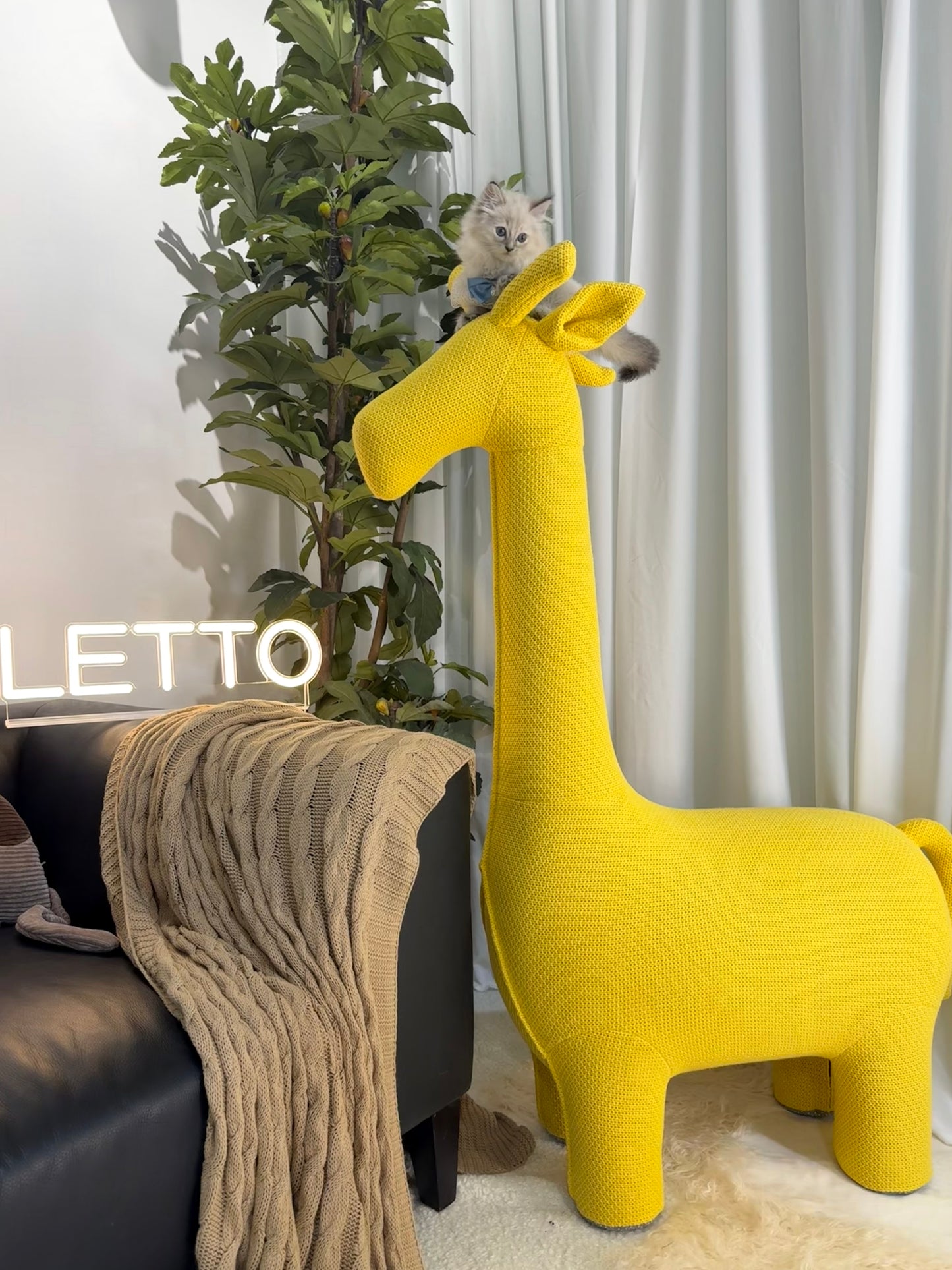 1.2Meters Giraffe Pet Friendly Furniture