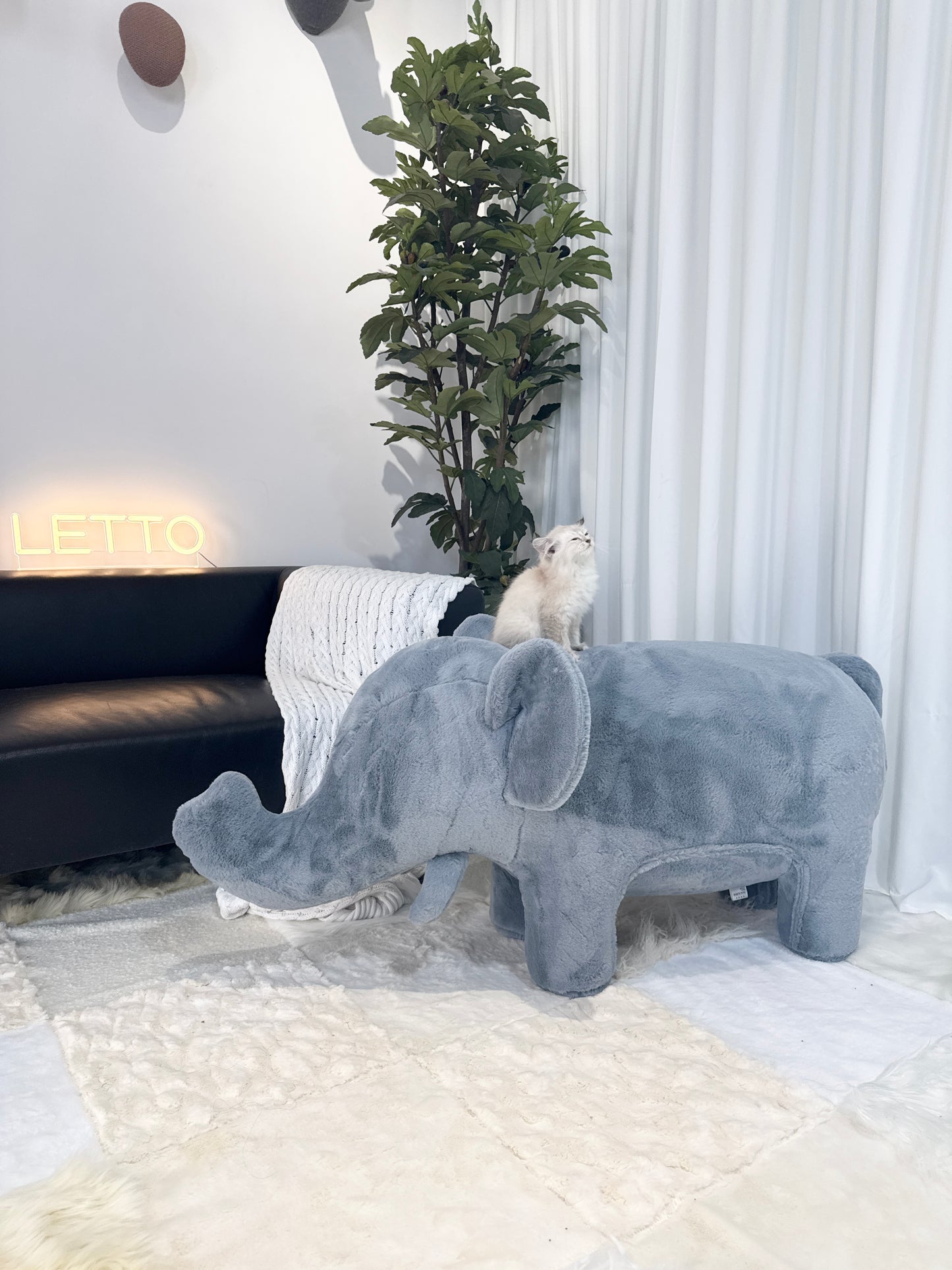 Elephant-Shaped Furniture – Stylish Pet Sofas & Human Comfort Chairs