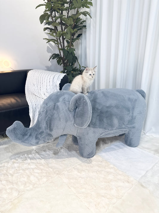 Elephant-Shaped Furniture – Stylish Pet Sofas & Human Comfort Chairs