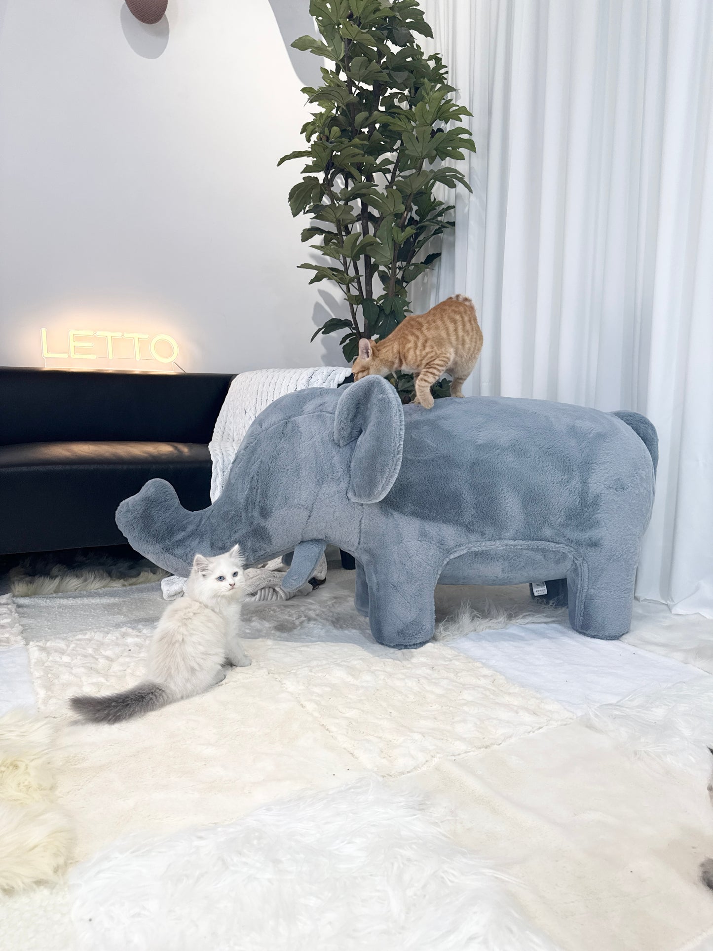 Elephant-Shaped Furniture – Stylish Pet Sofas & Human Comfort Chairs