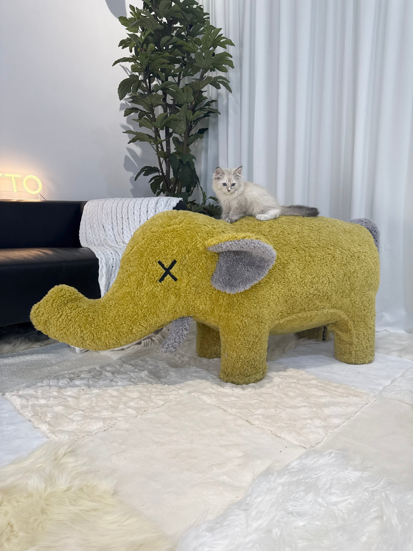 Elephant-Shaped Furniture – Stylish Pet Sofas & Human Comfort Chairs