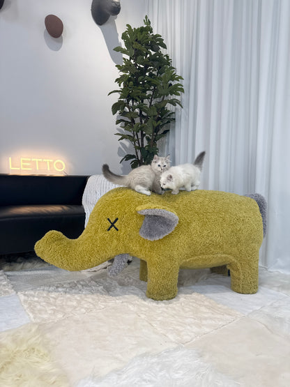 Elephant-Shaped Furniture – Stylish Pet Sofas & Human Comfort Chairs