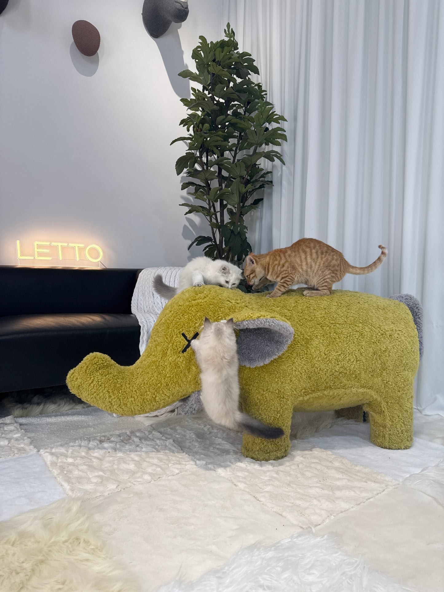Elephant-Shaped Furniture – Stylish Pet Sofas & Human Comfort Chairs
