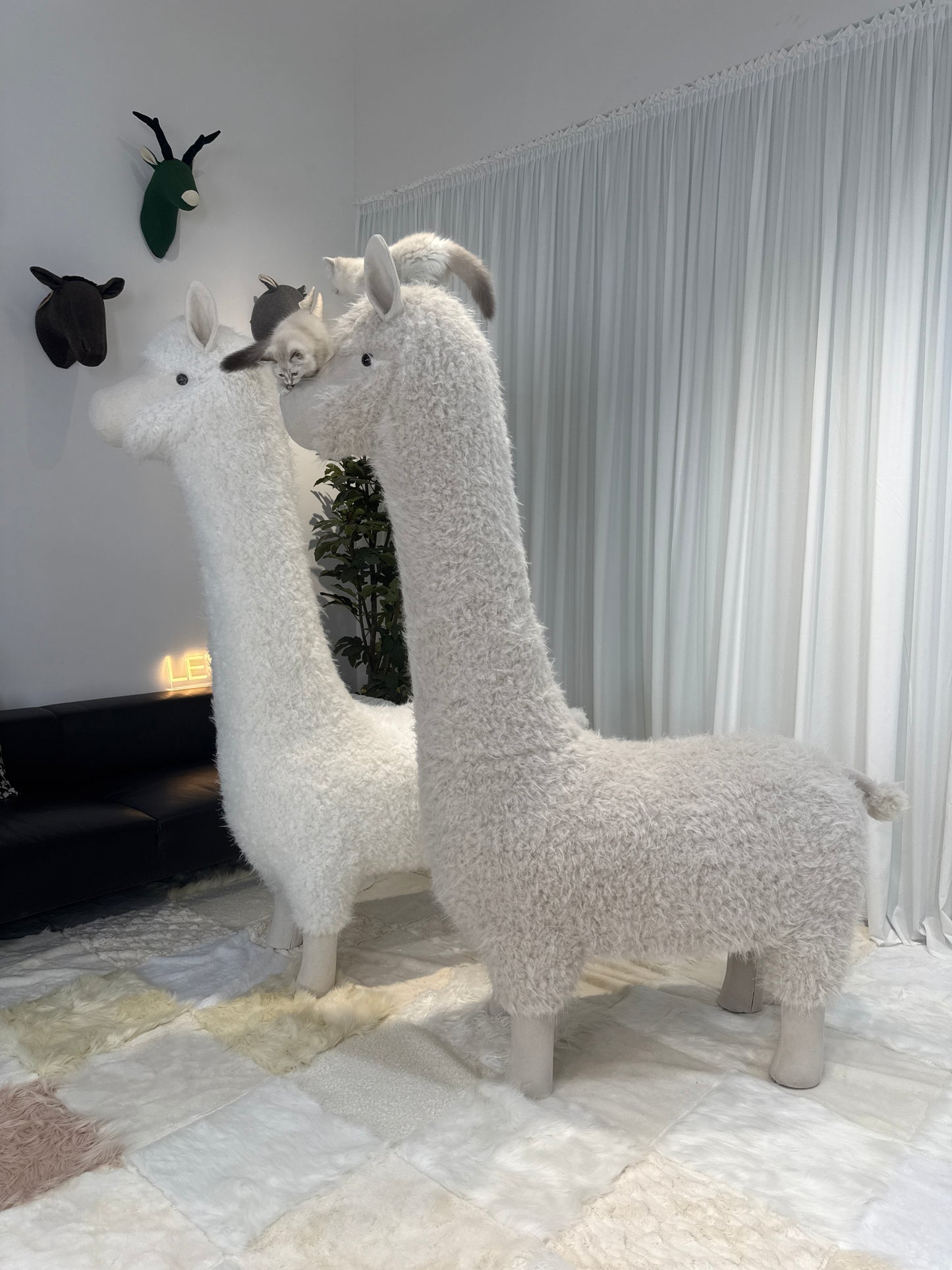 2Meters Luxury Alpaca-Fabric Cat Kennels & Cat Trees – Premium Pet Furniture