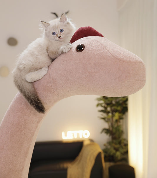 2 meter giant Brachiosaurus pet-friendly furniture
