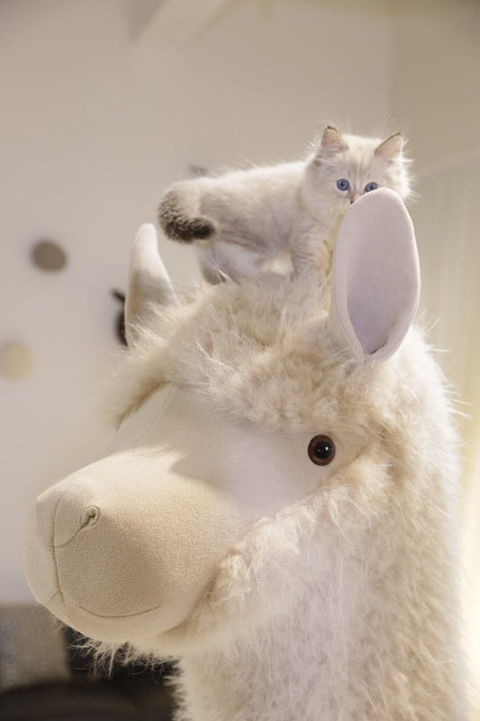 Giant alpaca pet-friendly furniture